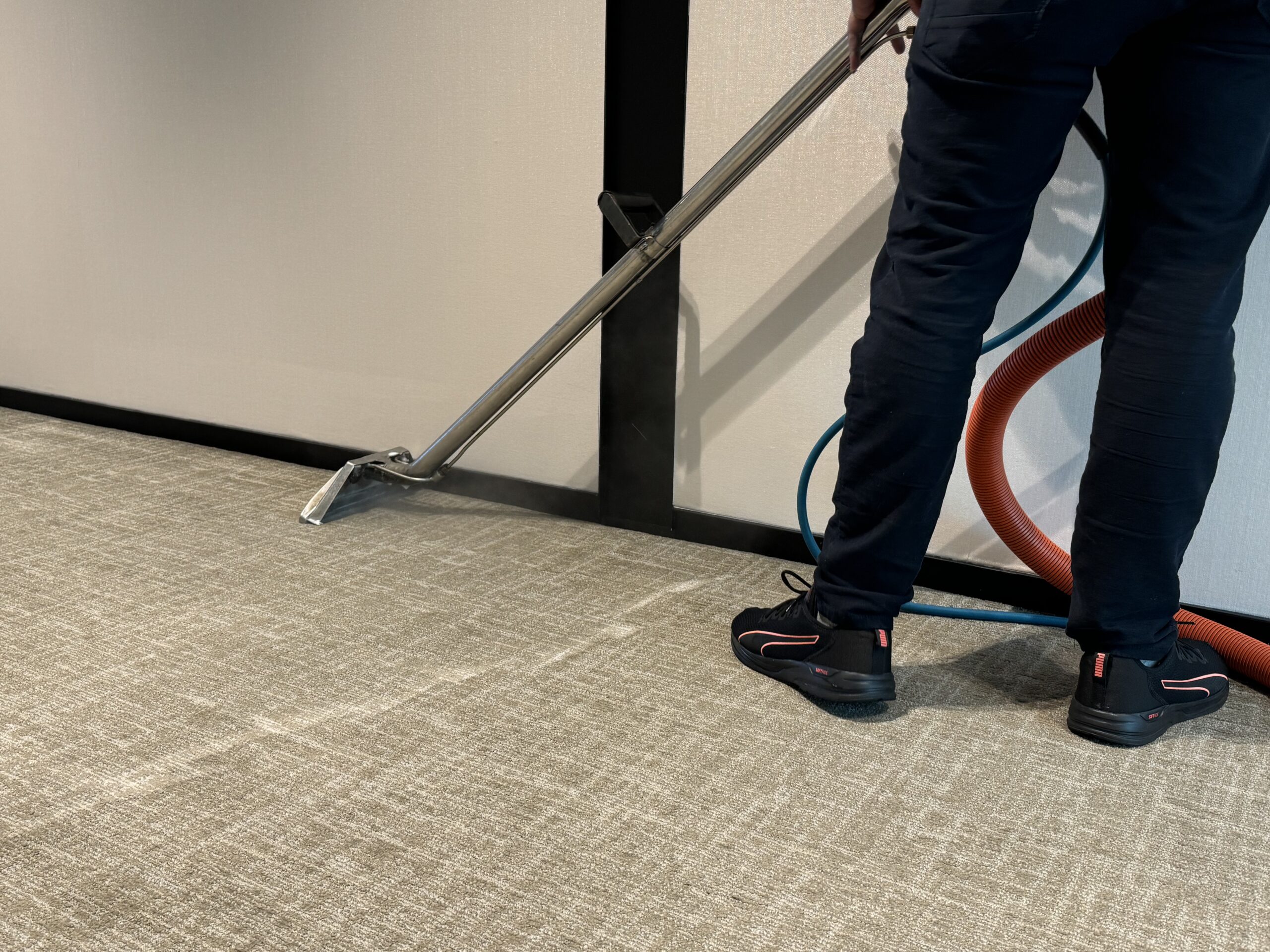 Professional carpet cleaning services