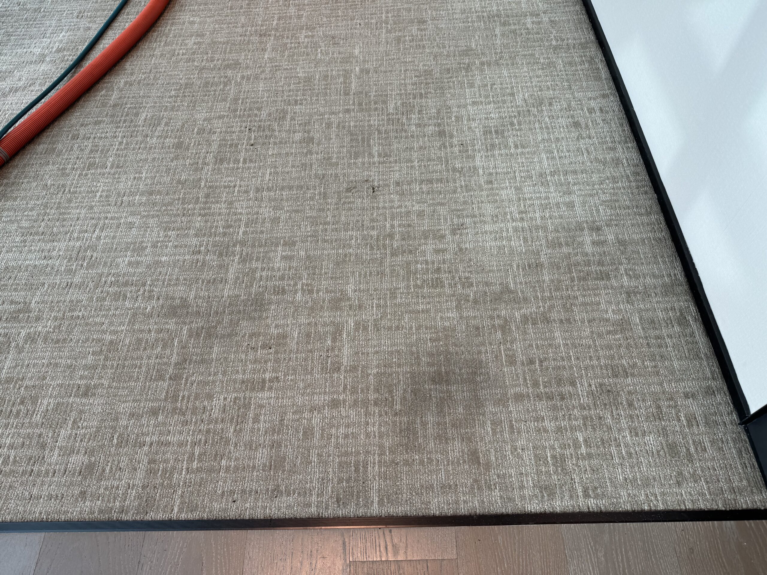 Steam cleaning for office carpets 