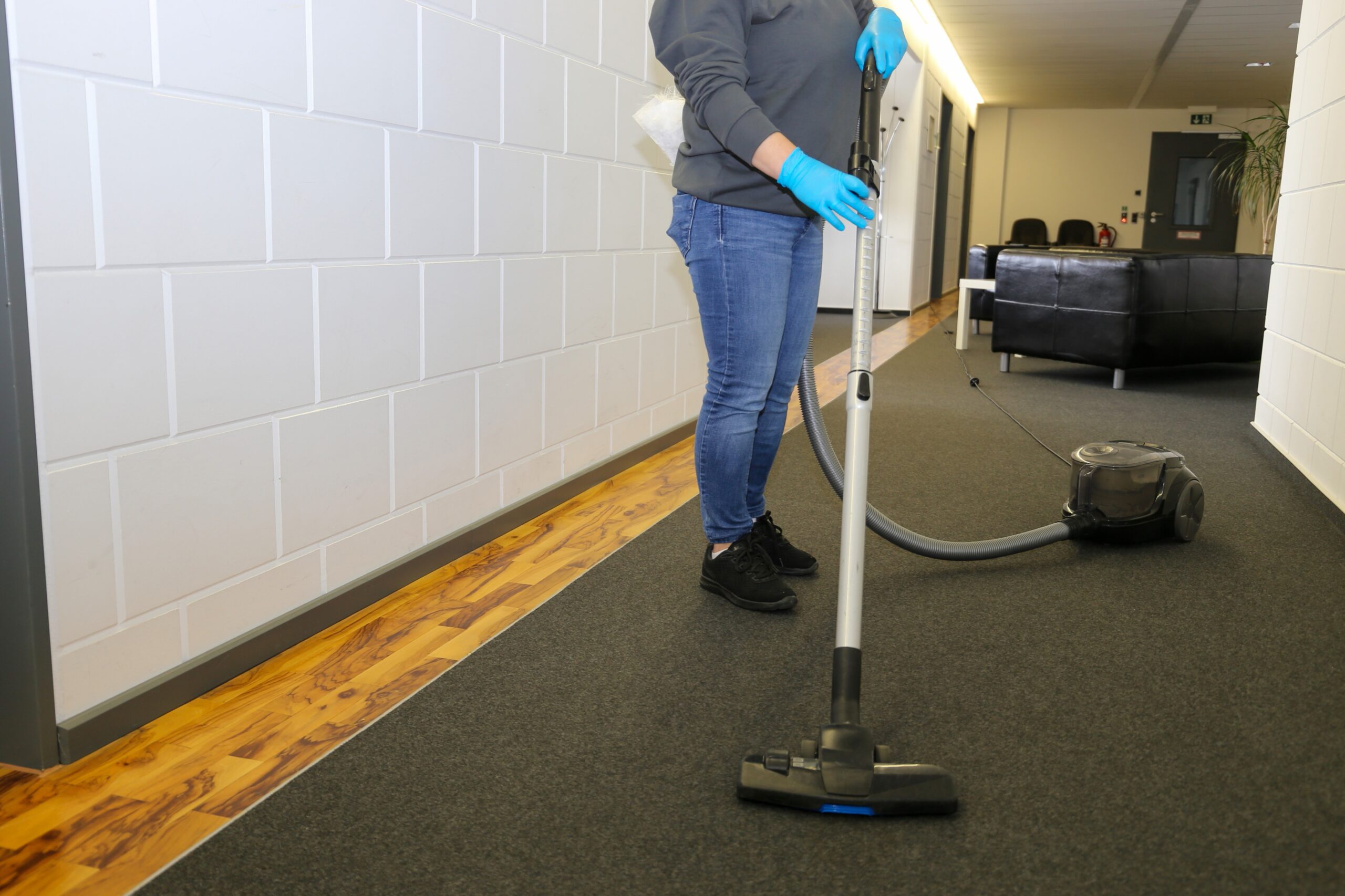 Professional carpet cleaning near me 