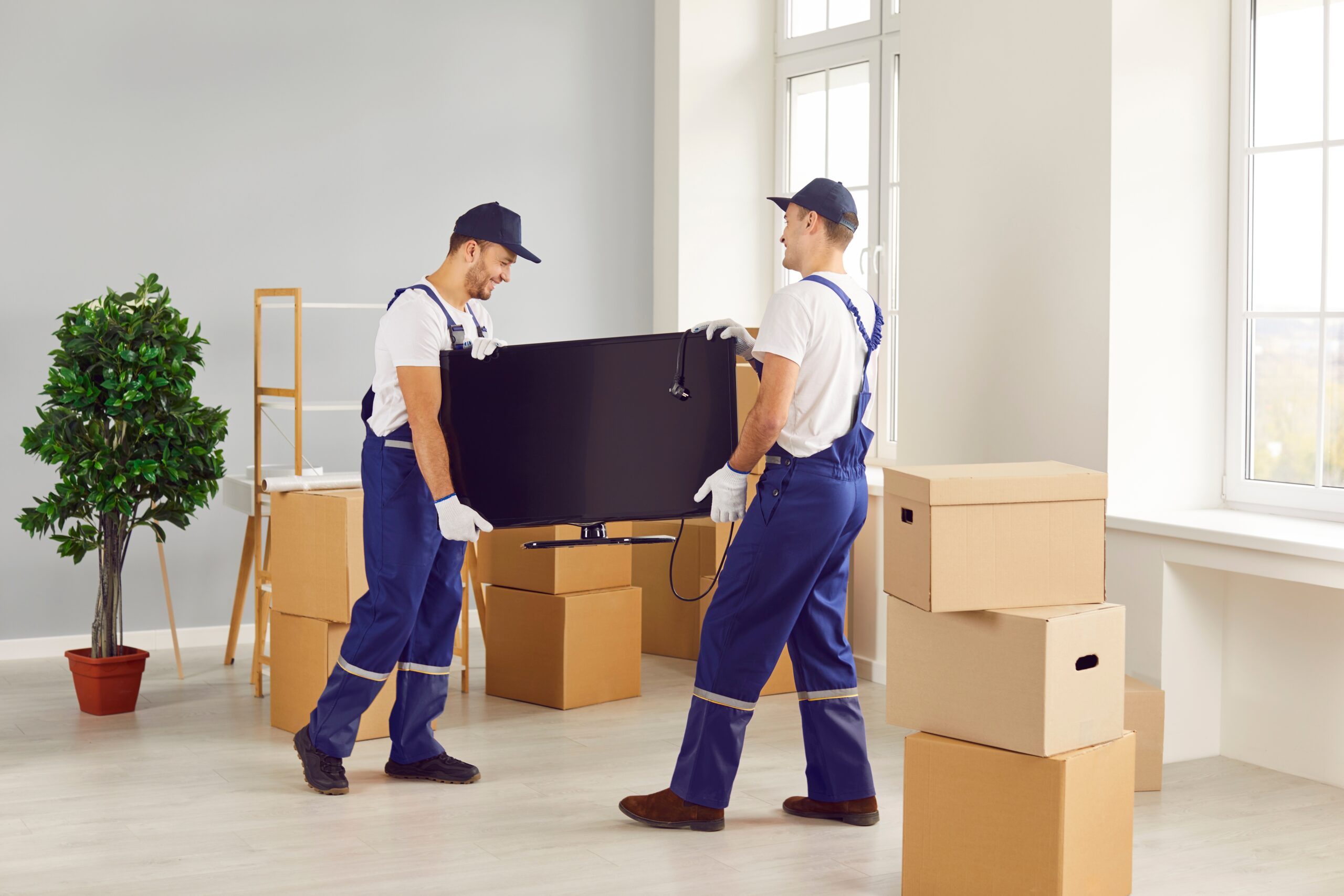 Professional relocation services for offices 