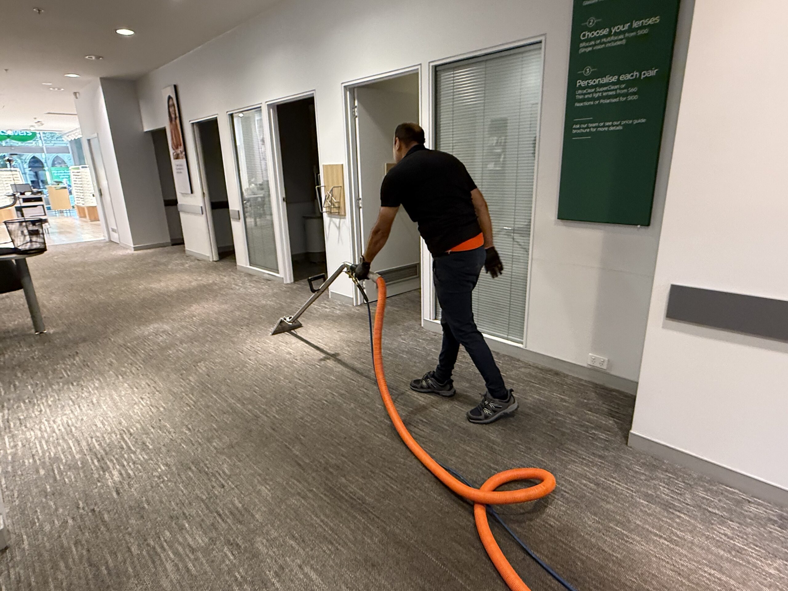 professional carpet and floor cleaning