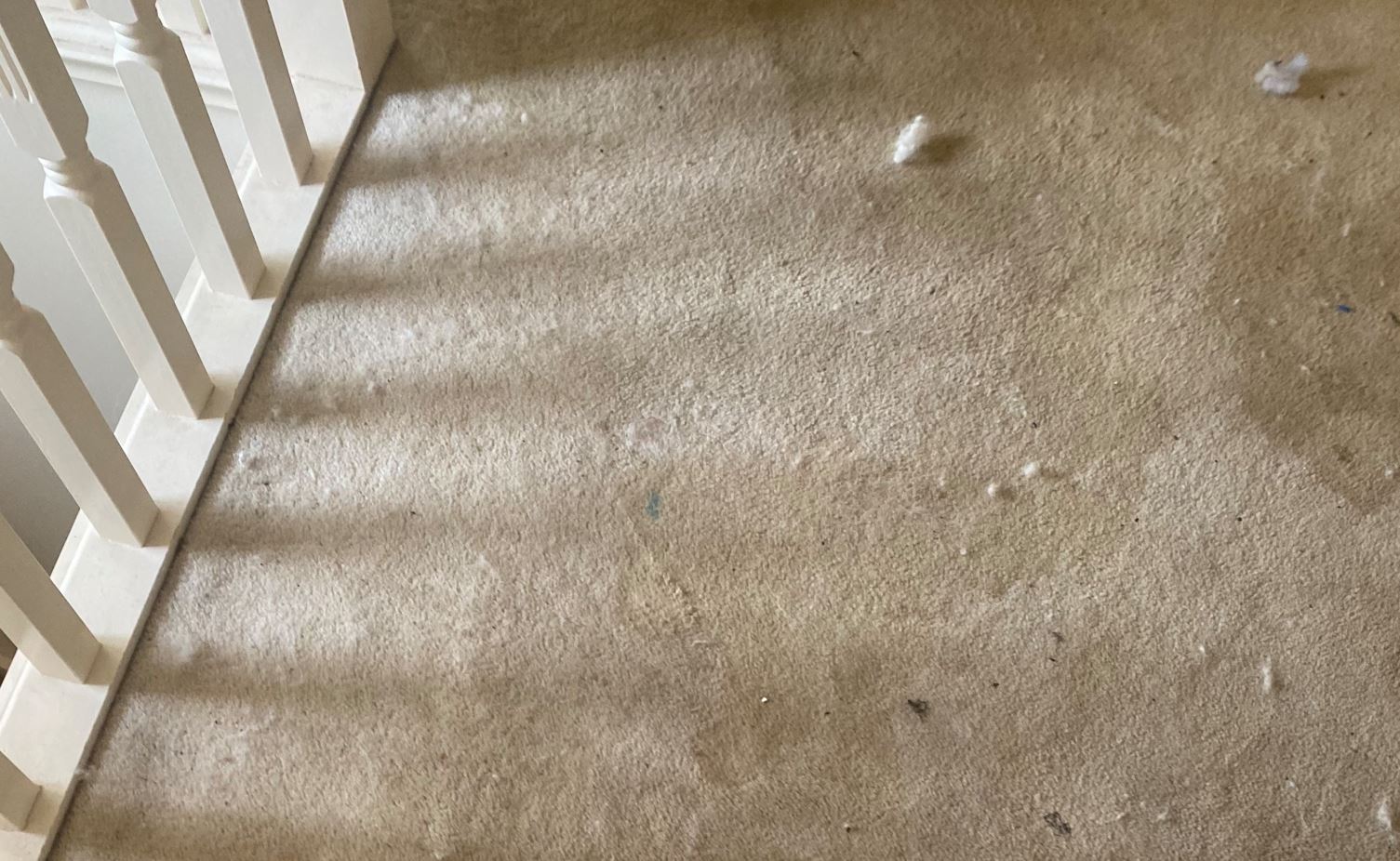 carpet cleaning tips Melbourne