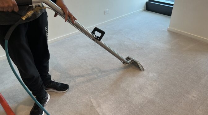 What Are the Long-Term Benefits of Carpet Steam Cleaning for Offices?
