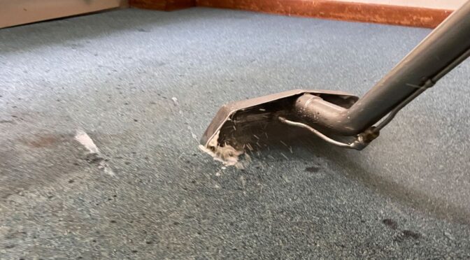 The Hidden ROI of Professional Carpet & Floor Cleaning in Commercial Spaces