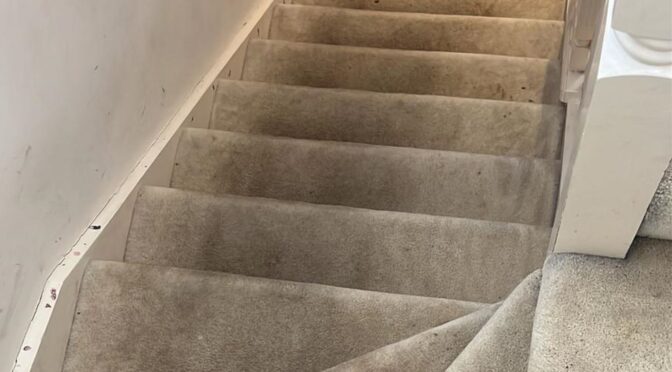 How to Prepare Your Home Before Professional Carpet Cleaning